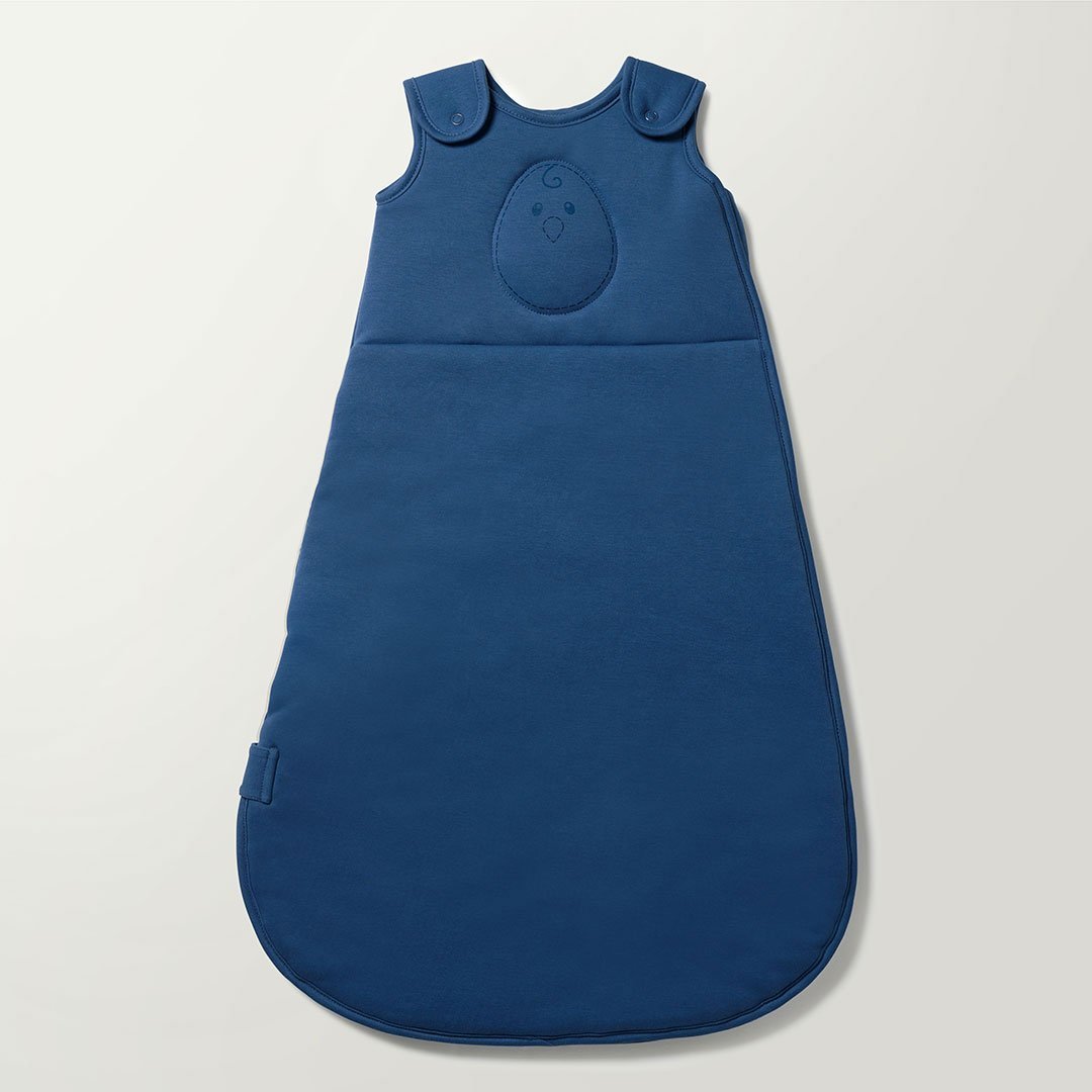 Nested bean 2025 sleep sack tog