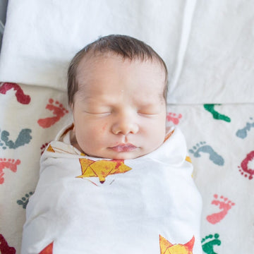 Bamboo Swaddle Zen Sack Premier Nested Bean