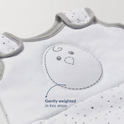 Baby sleep sack